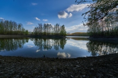 DSC00600