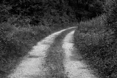 DSC01870