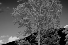 DSC01887