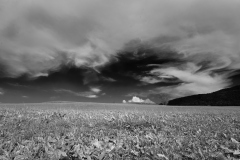 DSC01903