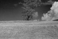 DSC01907